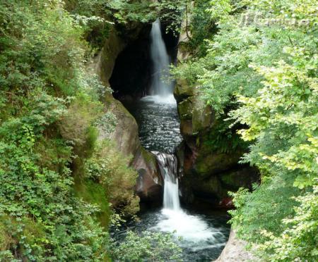 Ecologistas reclaman la apertura del cauce del río Saja eliminando dos presas en desuso