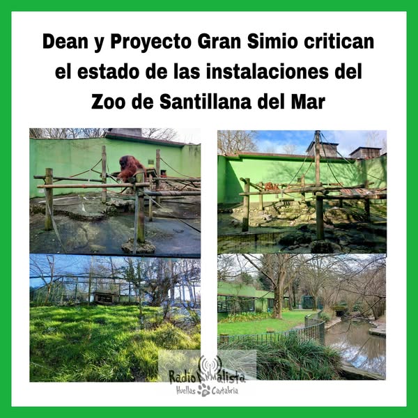Dean y proyecto Gran Simio critican el estado de las instalaciones del zoo de Santillana del Mar