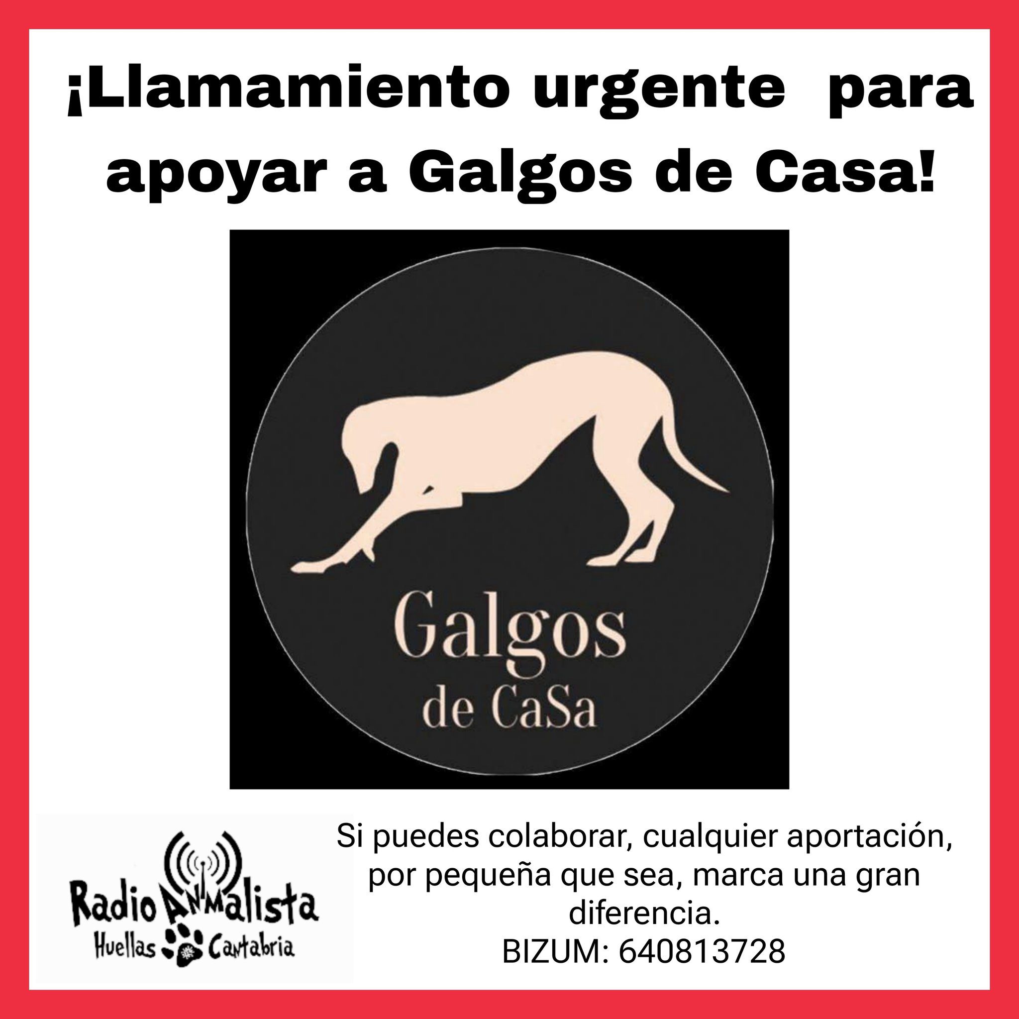 ¡Llamamiento urgente para apoyar a galgos de casa!