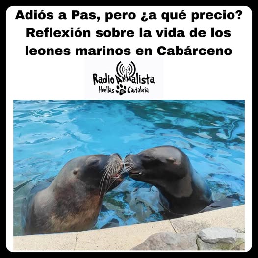 Adiós a Pas pero