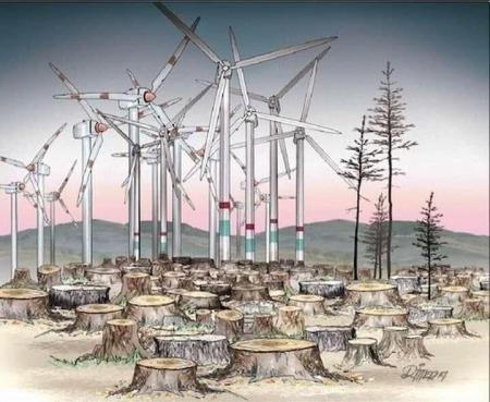 Contra los gigantes de la energía