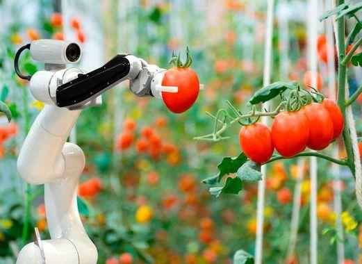 Agricultura 4.0: cosecha de datos y vigilancia en territorios