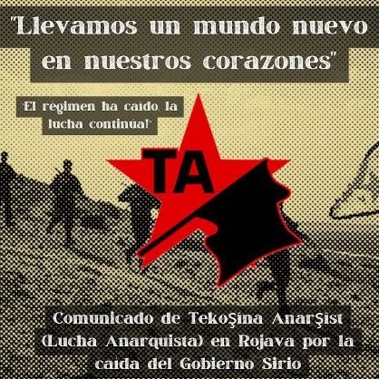 Rojava: Comunicado de Tekoşîna Anarşîst [Lucha Anarquista] por la caída del gobierno sirio