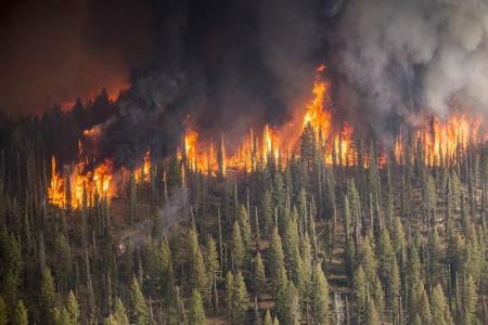 Arde Europa: Olas de calor