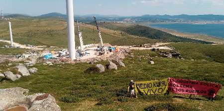 Graves afecciones a especies protegidas durante las obras del Polígono Eólico El Escudo