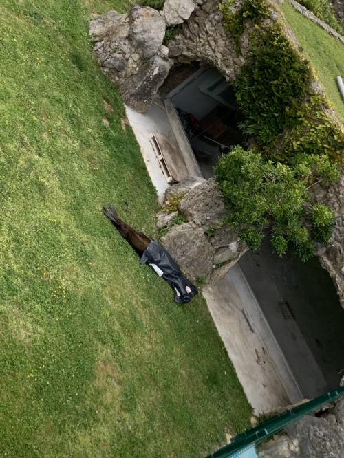 Encuentran un león marino muerto en el Zoo de la Magdalena