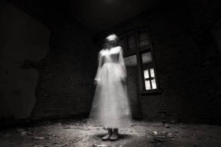 La solidaridad y su fantasma