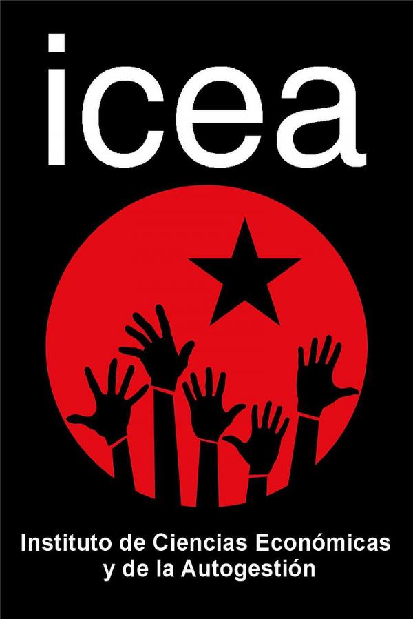 Entrevista a Damian H.C del Instituto de las Ciencias Económicas y de la Autogestión (ICEA)