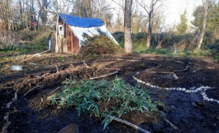 En imágenes: Ocupación de terrenos contra el tren de alta velocidad en Francia
