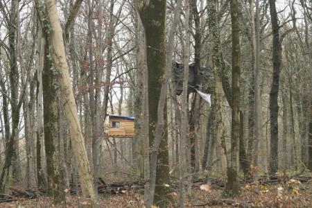 Bosque de Osterholz en Wuppertal