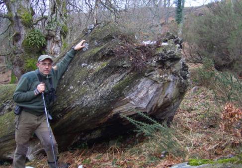 “Yo detecto la inteligencia vegetal y la de la naturaleza”