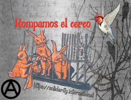Entrevista a compa de Solidaridad Presxs Anarquistas: «es importante mencionar también que debemos darnos cuenta de que la represión contra el anarquismo nos afecta a todxs
