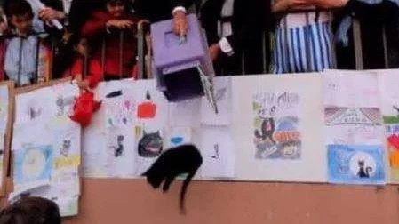 La suelta de la gata negra de Carasa