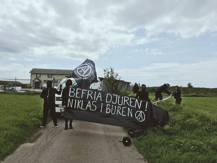 «Cómo cerramos la granja de visones de Falkenberg»