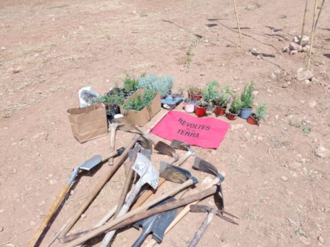 Unas reflexiones sobre las revueltas de la tierra