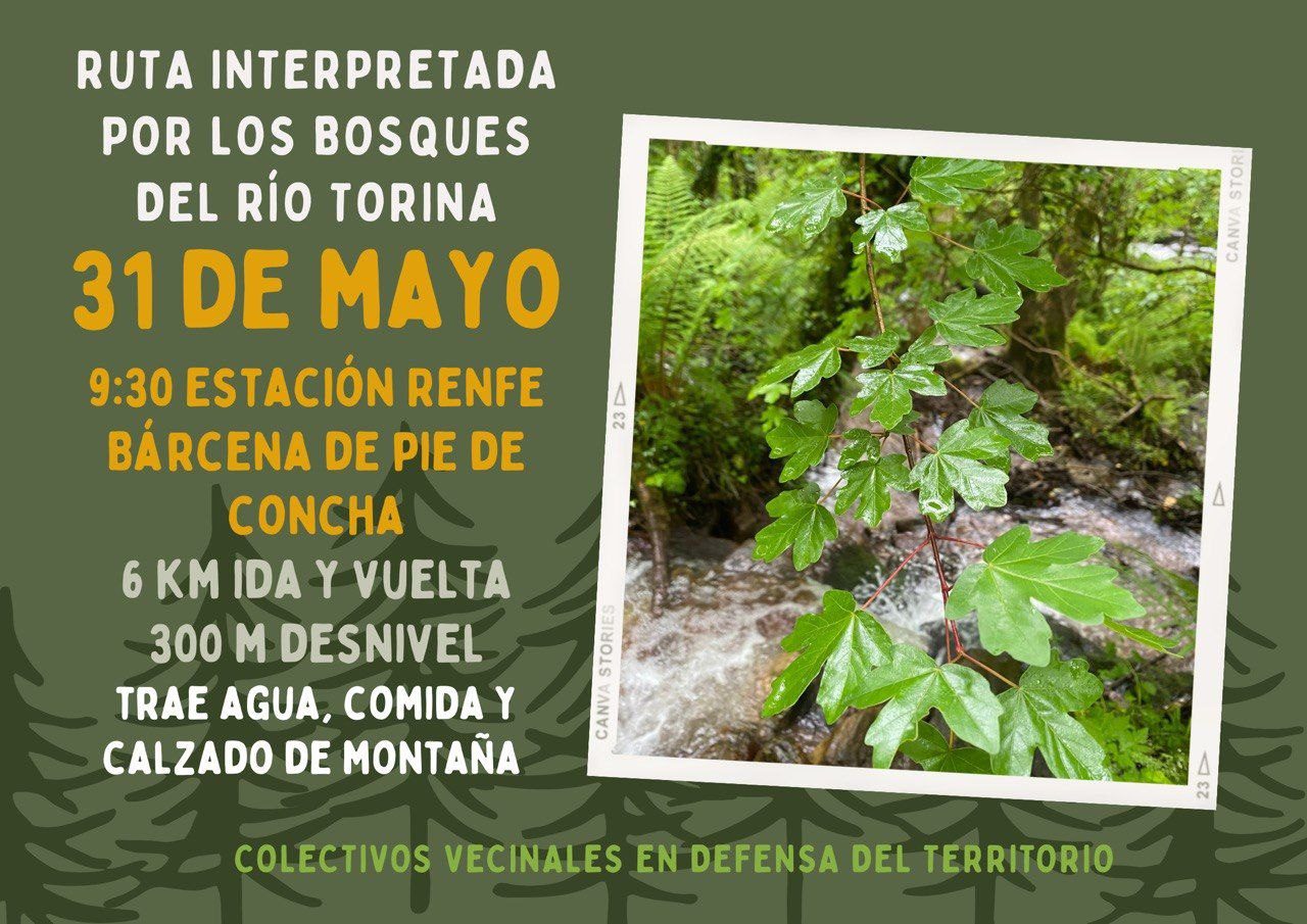 Ruta interpretada por los bosques del Río Torina