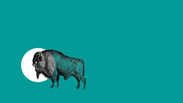 Publicación: El fanzine de la mutualidad