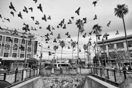 Entrevista al colectivo «Station 40» de San Francisco (USA)