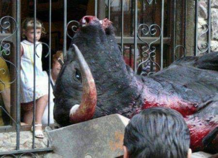 Tortura subvencionada en las fiestas de Santander
