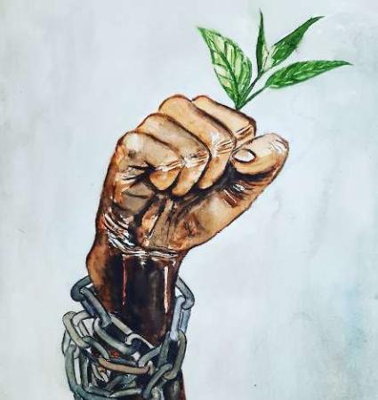 La seguridad social de la alimentación. Una estrategia para poner en jaque a la agroindustria