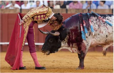 El Gobierno de Cantabria financia el «maltrato animal» bajo la excusa de la despoblación