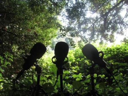 Nuevo programa del Pájaro Observador;De norte a sur: del ladrillazo a los megaproyectos energéticos