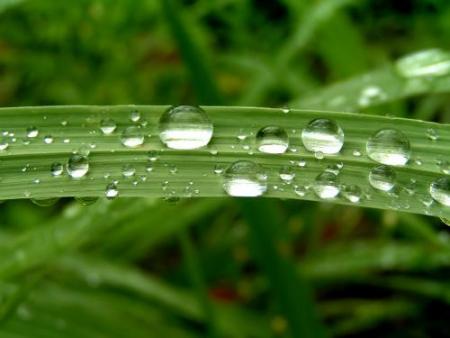 ¿Hidrógeno verde? Optimismos renovables y plan de descarbonización en Cantabria