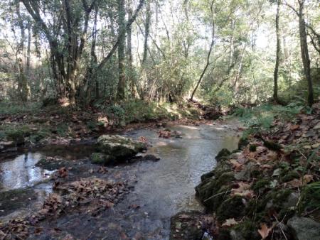 ¿Conocéis “El concejo aldeano en Cantabria; Lo que pudo ser y no fue